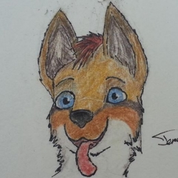 Crowdin profile picture for @Wcar