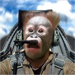 Crowdin profile picture for @Tailspin