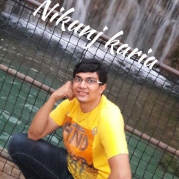 Crowdin profile picture for @Nikunj