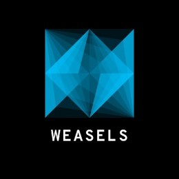 Crowdin profile picture for @WEASELS