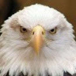 Crowdin profile picture for @tomsjc83