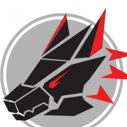 Crowdin profile picture for @Effort