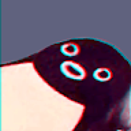 Crowdin profile picture for @Neve