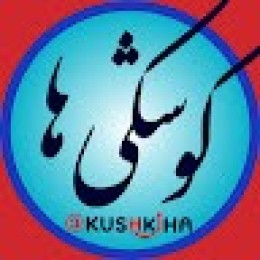 Crowdin profile picture for @kushkiha