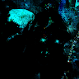 Crowdin profile picture for @visage