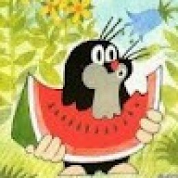 Crowdin profile picture for @Kretfon