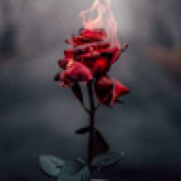 Crowdin profile picture for @Literary