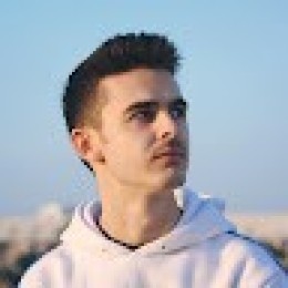 Crowdin profile picture for @wallow
